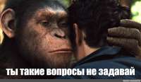f97655bc.jpg
