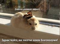 72146f34-6d7b-5e01-84c2-0993d6fd1217.png