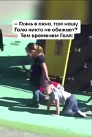 рой.webm