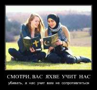 54ac9236539f9d677462654b221a85e0.jpg