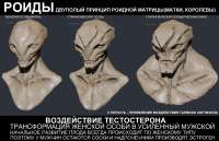 magspace.ru1.jpg