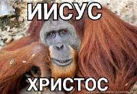 IMG20230124010022508.jpg