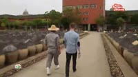utro2904npn2lo.mp4