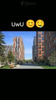 17514828003611.mp4