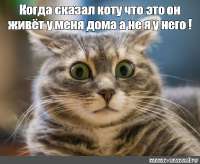 d2627bcb980b2abb4813efcdfe494354.jpg