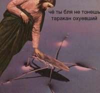 -пРиКоЛы-ДлЯ-дАуНоВ-разное-Природа-5562596.jpeg