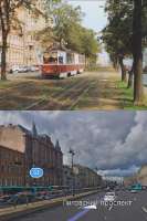 derevyavpitere.webp