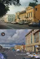 derevya v Pitere propali1.webp