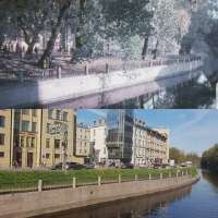 derevya v Pitere propali.webp
