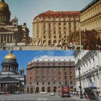 derevya v Piteref.webp