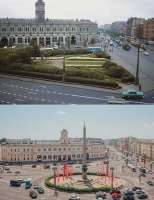 derevyavpiterekuda.webp