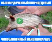 1593783963445.jpg