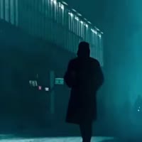 16964918810591.webm