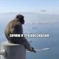 IMG20250518141428465.jpg