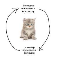 -Приколы-для-даунов-разное-психиатр-8666912.jpeg