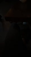 17515640271890.mp4