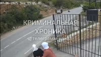 рой собирает гаввах.mp4