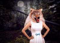 bride-wolf-head-night-wood-against-moon-88285056.jpg
