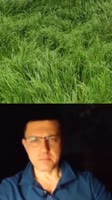 колесо срансары.mp4