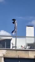 17504120786980.mp4