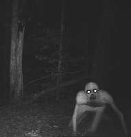 IMG8268.jpeg