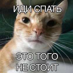 174920625683632306.jpg