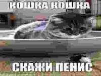 5795751fd993db69d960334bc467683b.jpg