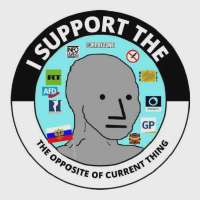 i-support-the-opposite-of-the-current-thing-v0-nhkbwyqpjto81.webp