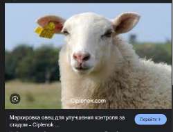Screenshot1.png