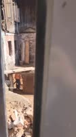 21312312.mp4