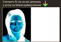 1000061201.jpg