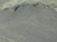 IMG8223.jpeg