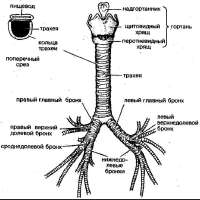 281d20f99cace9d0314d516dedbf878f.jpg
