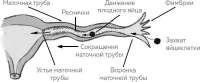 i009.jpg