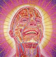 Laughing-Man-1986-Alex-Grey-watermarked-3950274776.jpg