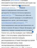 IMG8761.jpeg