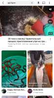 IMG8781.jpeg