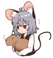 IMG8754.jpeg