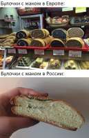 почему я русофоб.jpg