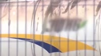 videoplayback-00.03.27.880-00.13.46.800-seg1.mp4