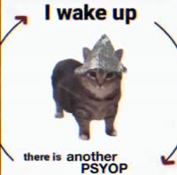 16677459779790.mp4