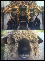 sheeeeeep side by side.jpg