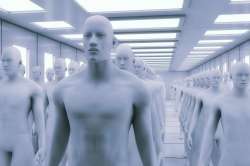 clones.jpg