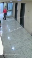 @rlzthekraken ролексы1.mp4