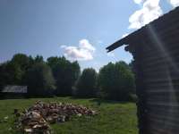 IMG20250806111758.jpg