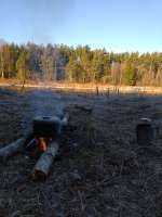 IMG20250330072529.jpg