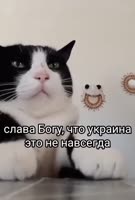17533860521680.mp4