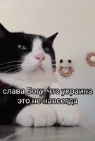 17533860521680.mp4