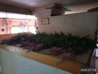 IMG20250719173728.jpg