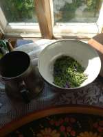 IMG20250724162421.jpg